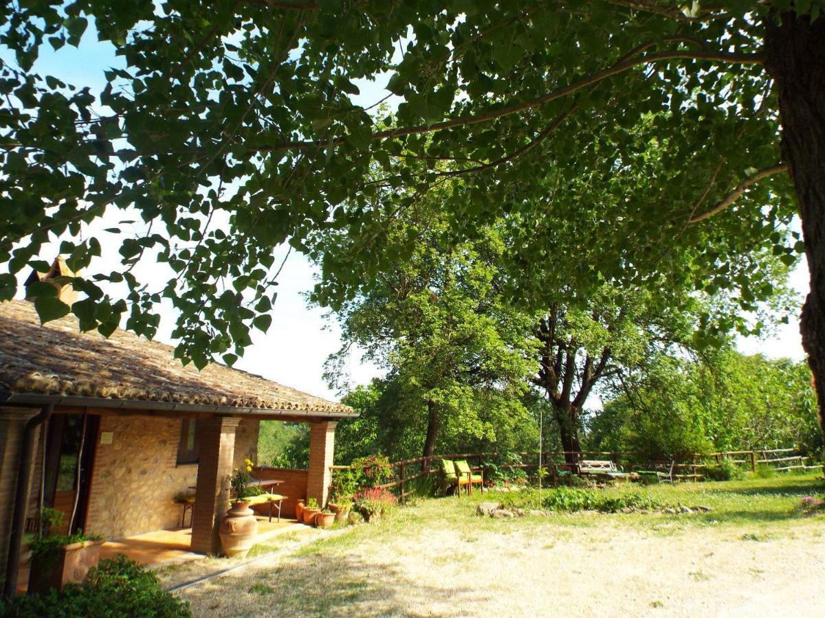 Agriturismo Frallarenza フィクッレ エクステリア 写真