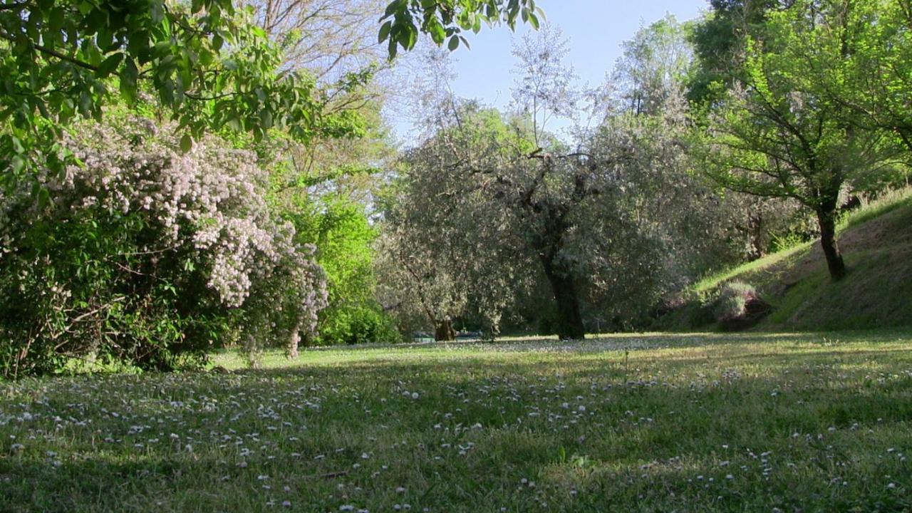 Agriturismo Frallarenza フィクッレ エクステリア 写真