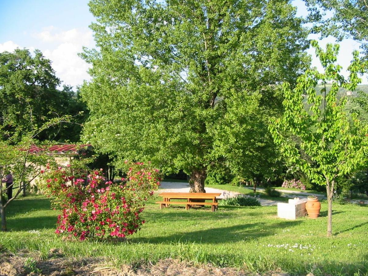 Agriturismo Frallarenza フィクッレ エクステリア 写真